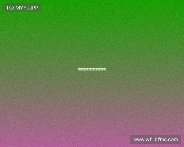 斯图加特:德甲劲旅崛起之路与未来展望 斯图加特:德甲劲旅崛起之路与未来展望